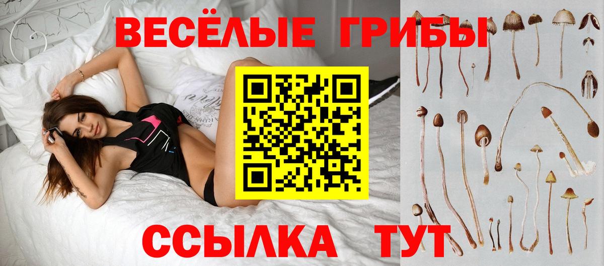 Урюпинск  Псилоцибиновые грибы GOLDEN TEACHER  Вход с VPN 