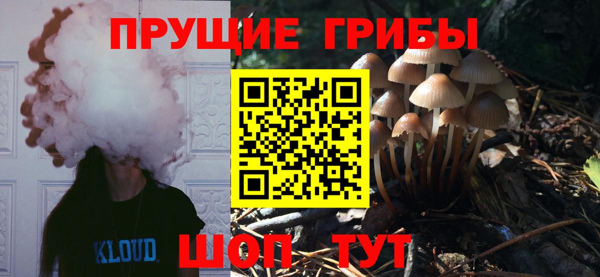 Псилоцибиновые грибы GOLDEN TEACHER Урюпинск